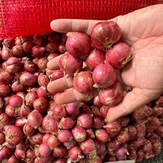 ( หอมตัด ) หอมแดงตัดจุก  คละไซส์ตามฤดู  น้ำหนัก  1 กิโลกรัม