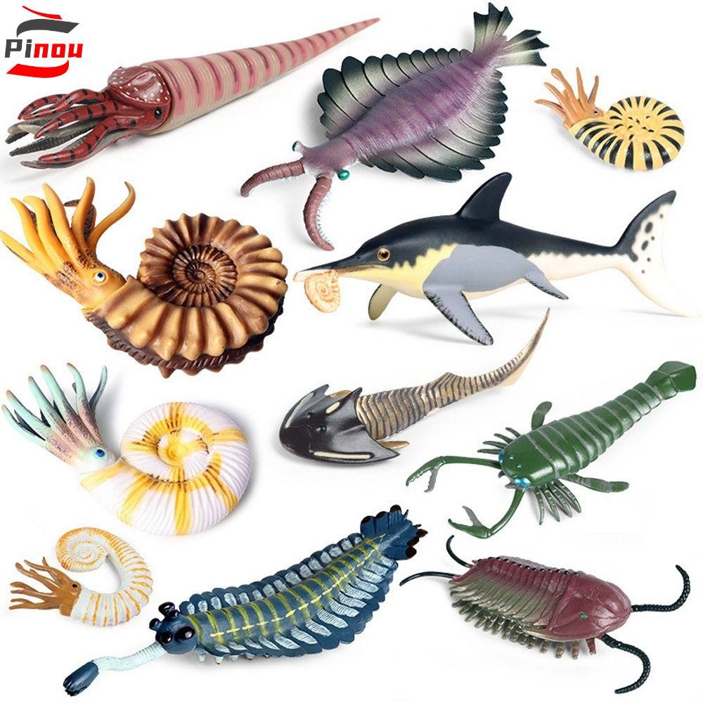 PINOU Marine Life ตุ๊กตา, Nautilus Anomalocaris Ocean สัตว์รูป, Baculites ทํานายโบราณจําลอง Trilobite รูปเด็กของขวัญ