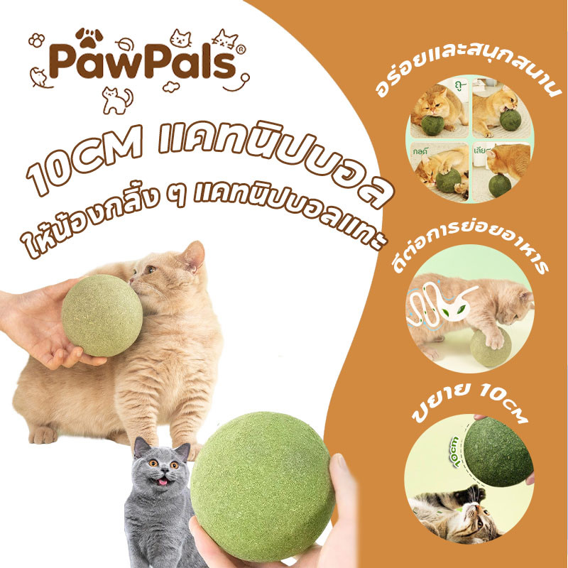 PawPals 10CM แคทนิปบอล catnip ball ขนมแมวเลีย สมุนไพรแมวเลีย