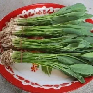 เมล็ดผักพายน้อย บรรรจุ 20,000 เมล็ด พร้อมคู่มือปลูก