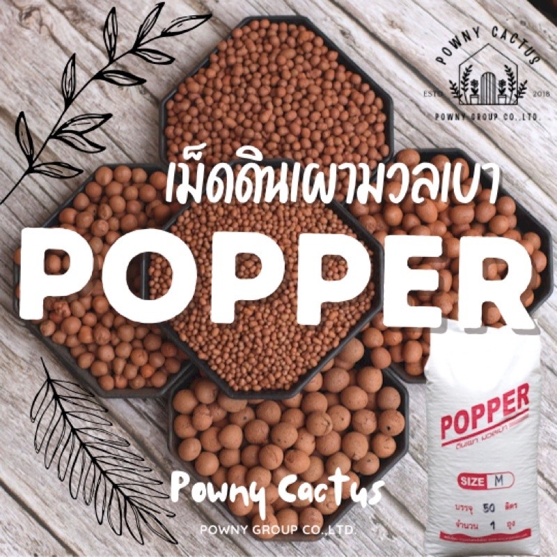 popper เม็ดดินเผา มวลเบา 1 ลิตร ป๊อปเปอร์ มีครบทุกไซส์ หินโรยหน้า โรยหน้ากระถาง
