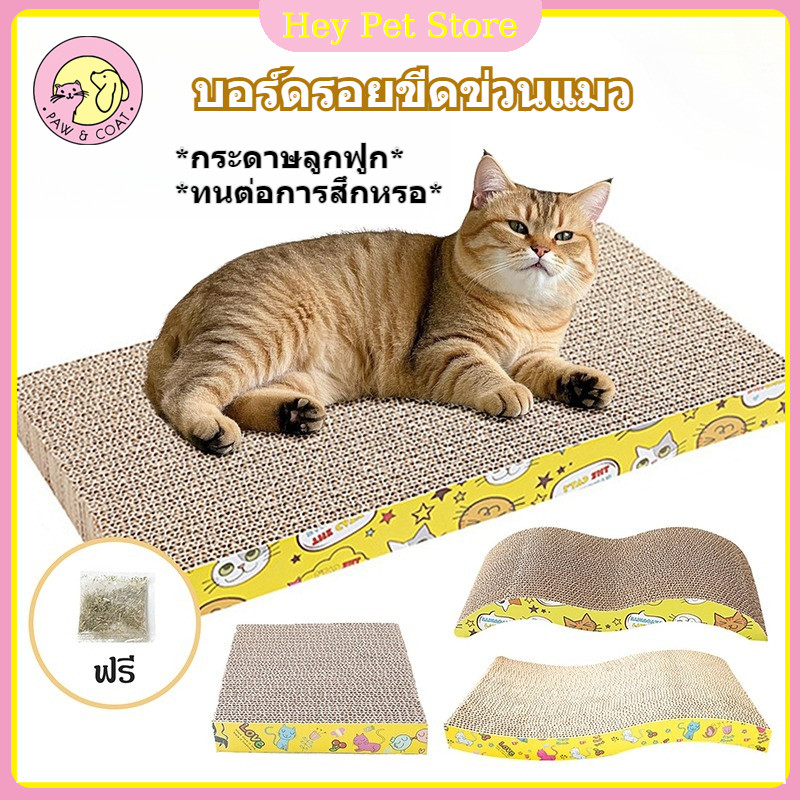 ที่ลับเล็บแมว กระดานลูกฟูกลับเล็บแมว แถมกัญชาแมว ทนต่อการสึกหรอและไม่หลุด มีหลากหลายรูปทรงให้เลือก ส่งผงมิ้นต์แพ็ค