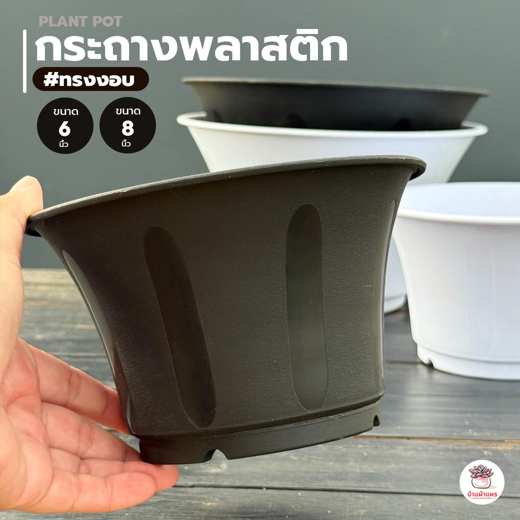 กระถางพลาสติก #ทรงงอบ #6 นิ้ว #8นิ้ว กระถางแคคตัส กระบองเพชร ไม้อวบน้ำ Cactus&Succulent