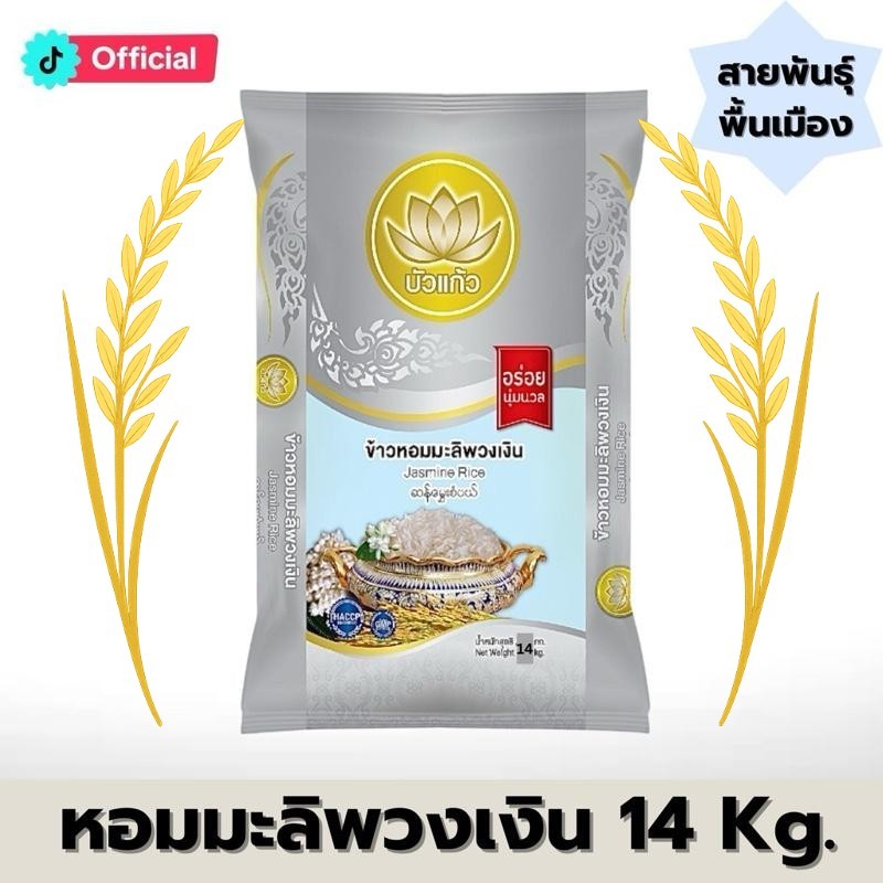 [ส่งฟรี] ข้าวหอมมะลิพวงเงิน ขนาด 14 กก. ข้าวกลางปี นุ่ม หุงขึ้นหม้อ [ สายพันธุ์พื้นเมือง ] ตรา บัวแก้ว