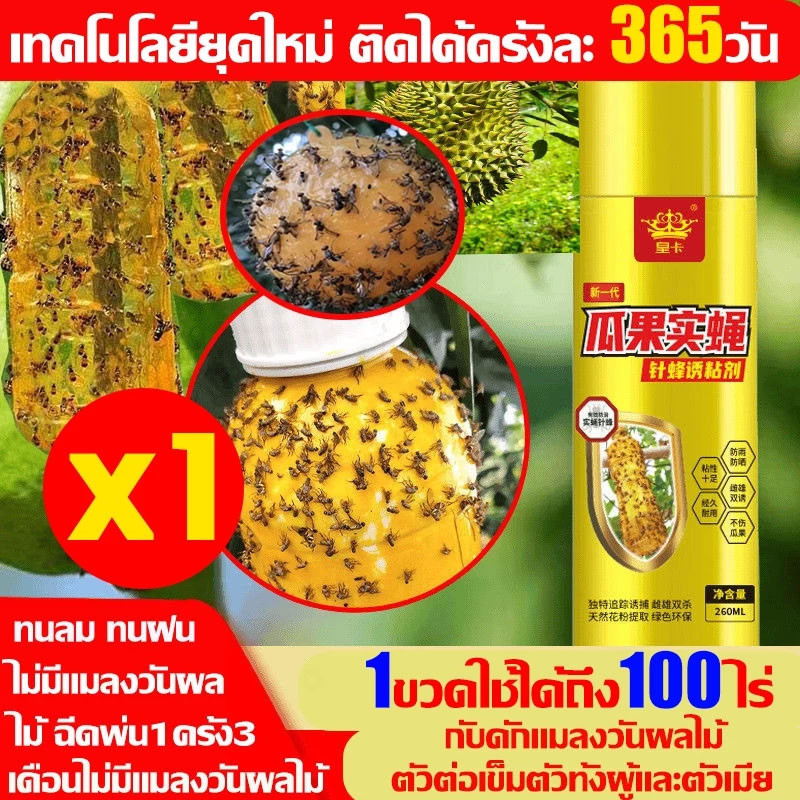 1ครั้งฆ่าแมลงวันสีทอง100000ตัว สเปรย์ล่อแมลงวันทอง เมทิลยูจินอลน้ํายา แมลงวันผลไม้ สารล่อแมลงวันทอง ฆ่าแมลงวันได้