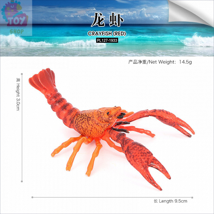 ของเล่นการศึกษาสำหรับเด็ก โมเดลล็อบสเตอร์จำลอง ของตกแต่ง ล็อบสเตอร์ขนาดใหญ่ อุปกรณ์ช่วยสอนสำหรับเด็ก - รูปที่ 7