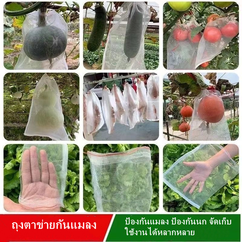 ถุงตาข่ายกันแมลงสำหรับต้นผลไม้/ถุงตาข่ายกันนก/ถุงใส่ผลไม้มะเขือเทศและพีช