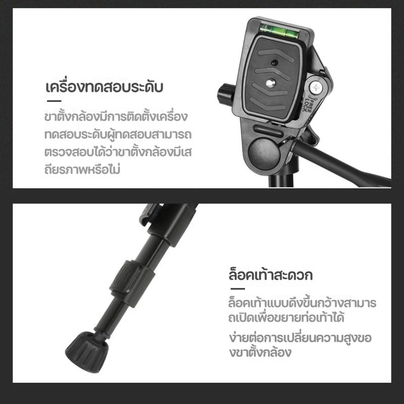 F3366T สีดำ ขาตั้งกล้อง พร้อมรีโมทบลูทูธ พร้อมที่จับมือถือชนิดเกลียวหมุน สามารถตั้งได้ทั้งสมาร์ทโฟน และ กล้อง thumbnail 8