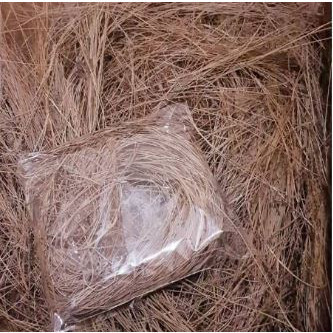 AZ ใบสนแห้งสะอาดสําหรับงานหัตถกรรมรังนกชนบท 500GR