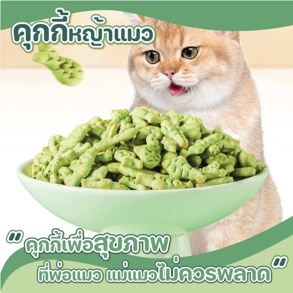 คุกกี้หญ้าแมว 120 g คุ้กกี้แมว บิสกิตเเมว ขนมสัตว์เลี้ยง ขนมเเมว หญ้าแมวฟรีซดราย ช่วยสำรอกก้อนขน ผสมปลาแซลม่อน