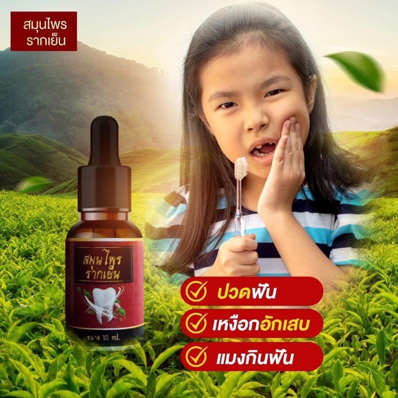 รากเย็น สมุนไพรรากเย็น (ของแท้!!) (1ขวด 10 มล.)