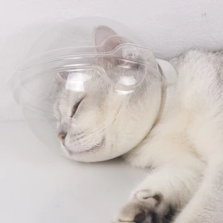 QQ PET หมวกครอบปากแมวโปร่งใส กันกัดเลีย ตัดเล็บง่าย ระบายอากาศดี