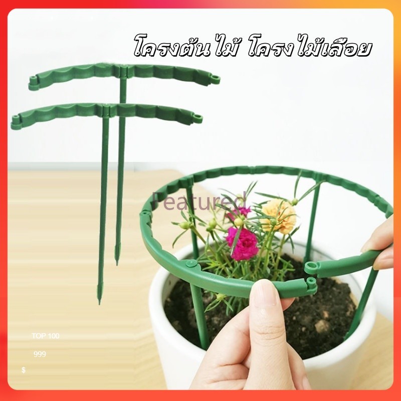 Featured โครงต้นไม้ ไม้ค้ำต้นไม้ โครงไม้เลื้อย กรงพืช โครงเถาวัลย์ สําหรับปลูกต้นไม้ ดอกไม้