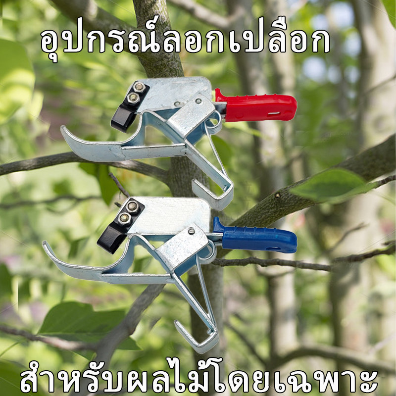 คีมควั่นเปลือกไม้ยี่ห้อฟลายมุ่ยทุ่ย - เครื่องมือควั่นต้นพุทรา/คีมลอกเปลือก/มีดเปิดเปลือก/กรรไกรควั่นกิ่งผลไม้