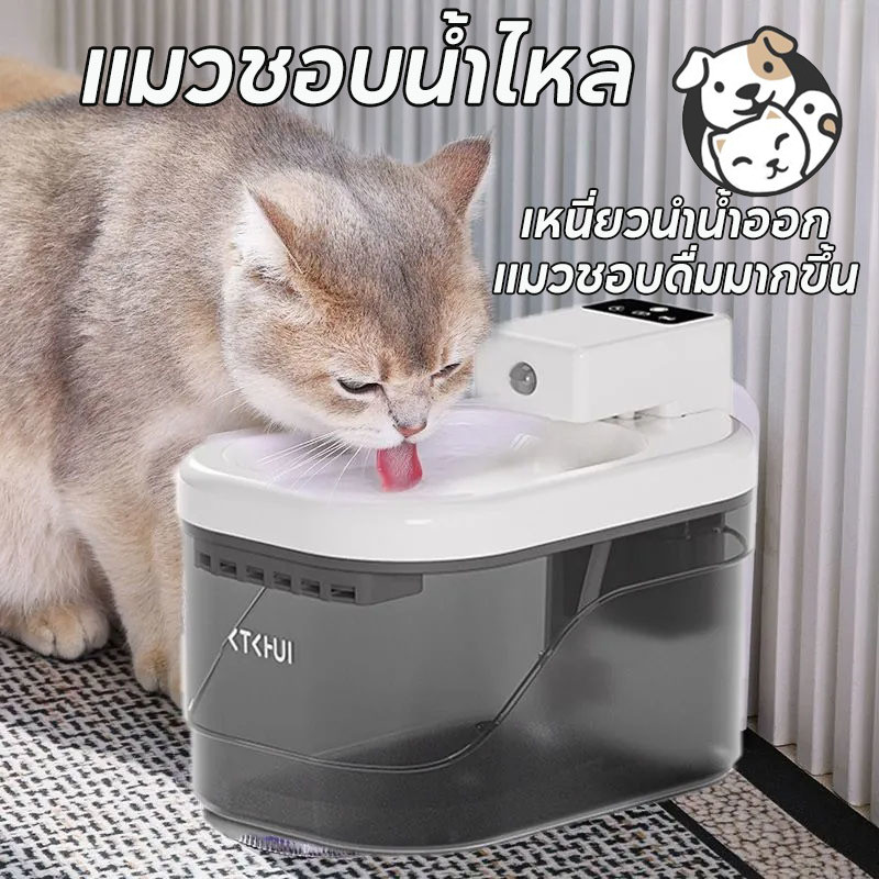 Cat Fountain Smart Drinking Fountain ความจุน้ำ 2 ลิตร น้ำพุแมวไร้สาย USB น้ำพุชาร์จไฟ น้ำที่ตรวจจับทางชีวภาพ