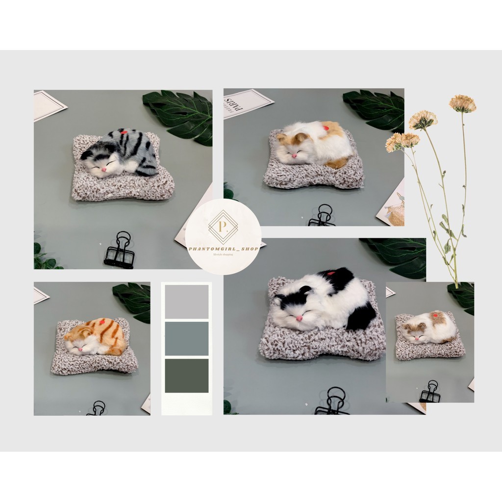 🌈ใหม่ ตุ๊กตาแมวแคระมีเสียง 🎵 🐱🐱 ตุ๊กตาแมวดูดกลิ่น ตุ๊กตาดูดกลิ่น 🐱🐱 ช่วยลดกลิ่นอับกลิ่น น่ารักเหมือนจริงมากๆ