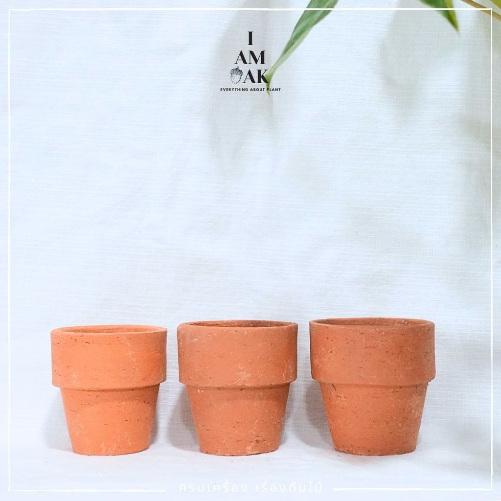 มุมมอง 3