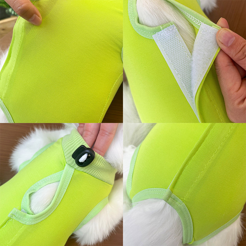 รูปภาพ 5