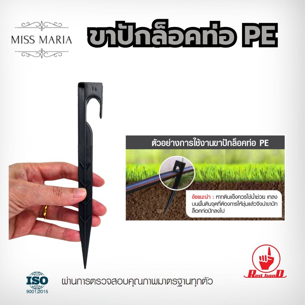 ตรามือ ขาปักล็อคท่อ PE ขนาด 16 – 32 มิล (50 ตัว) ระบบน้ำ รดน้ำต้นไม้ กนกโปรดักส์ ราคา ถูกที่สุด ดีลบีเคเค แกลเลอรีภาพที่ 4