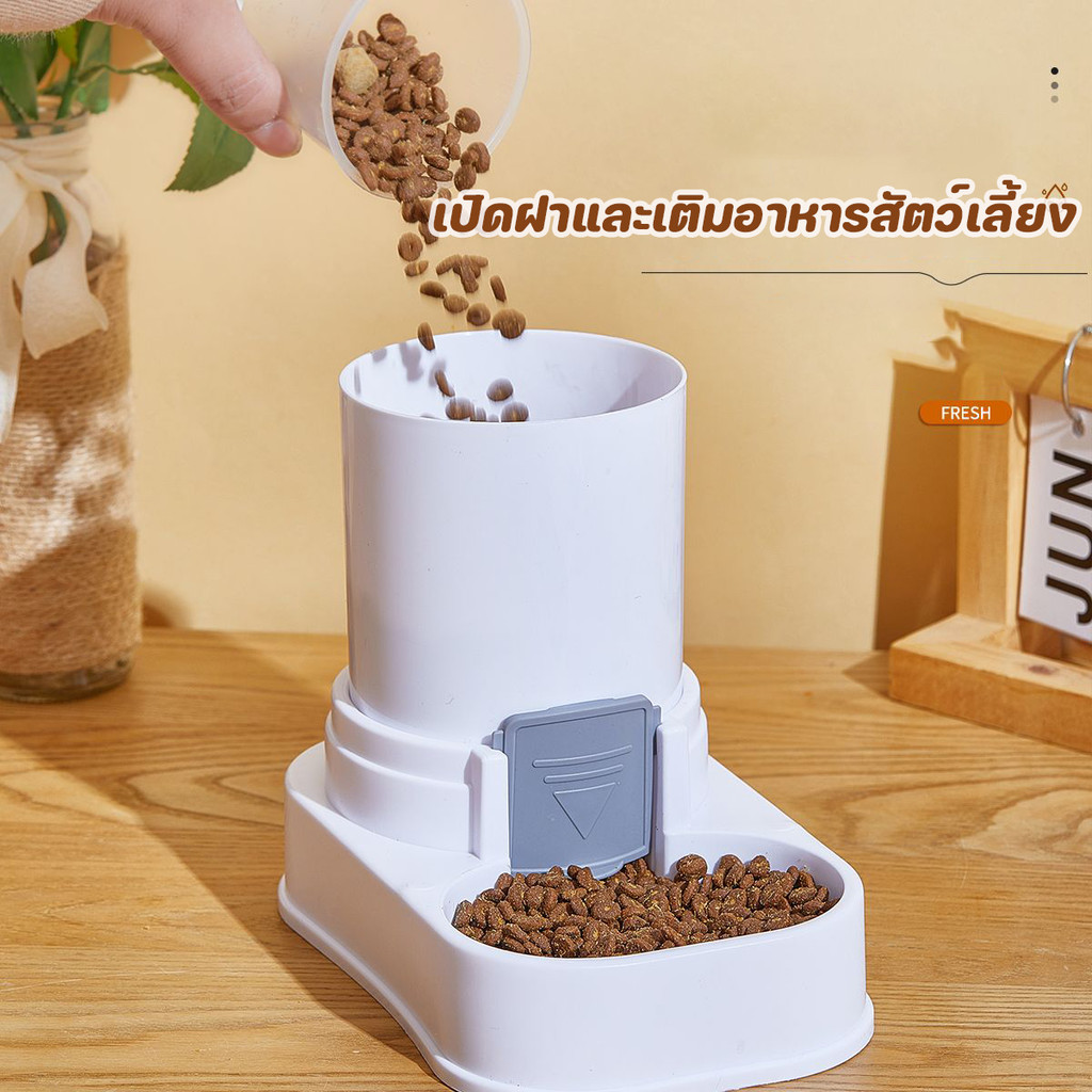 เครื่องให้อาหารสัตว์เลี้ยง เครื่องให้น้ำและอาหารสัตว์เลี้ยงอัตโนมัติ ที่ให้อาหารอัตโนมัติ ชามอาหาร หมา แมว - รูปที่ 2