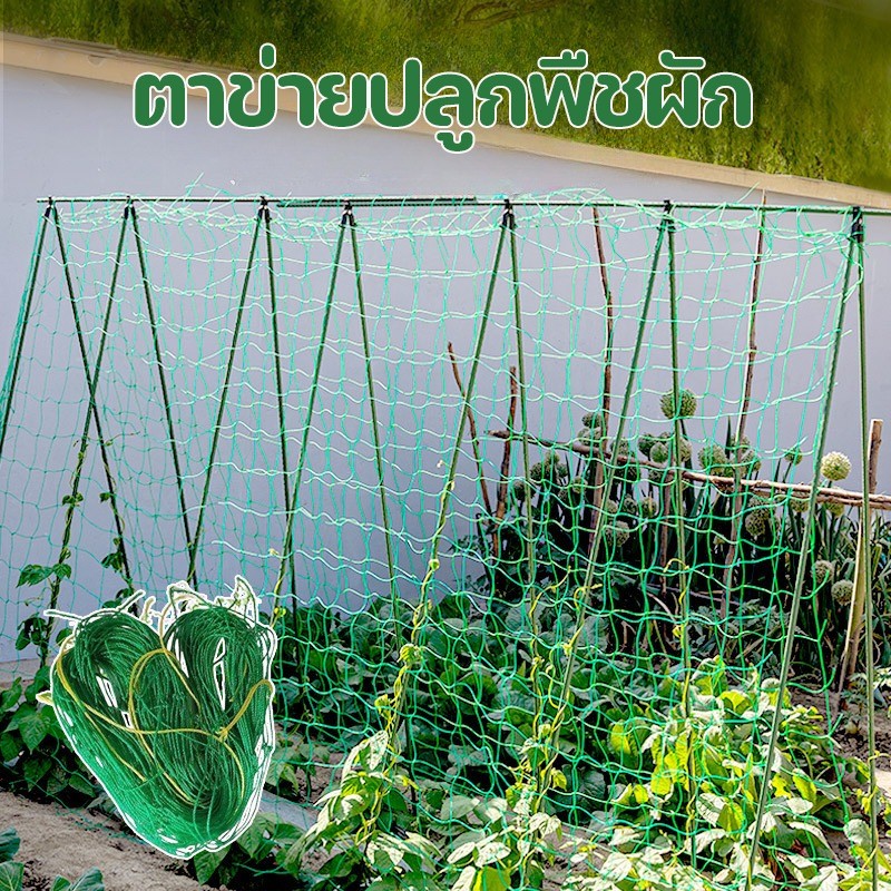 COD ตาข่ายปลูกพืชผัก เชือกไนลอน คุณภาพดี ค้างปลูกผัก เน็ตตาข่ายสี่มุม ตาข่ายสำหรับพืชไม้เลื้อย