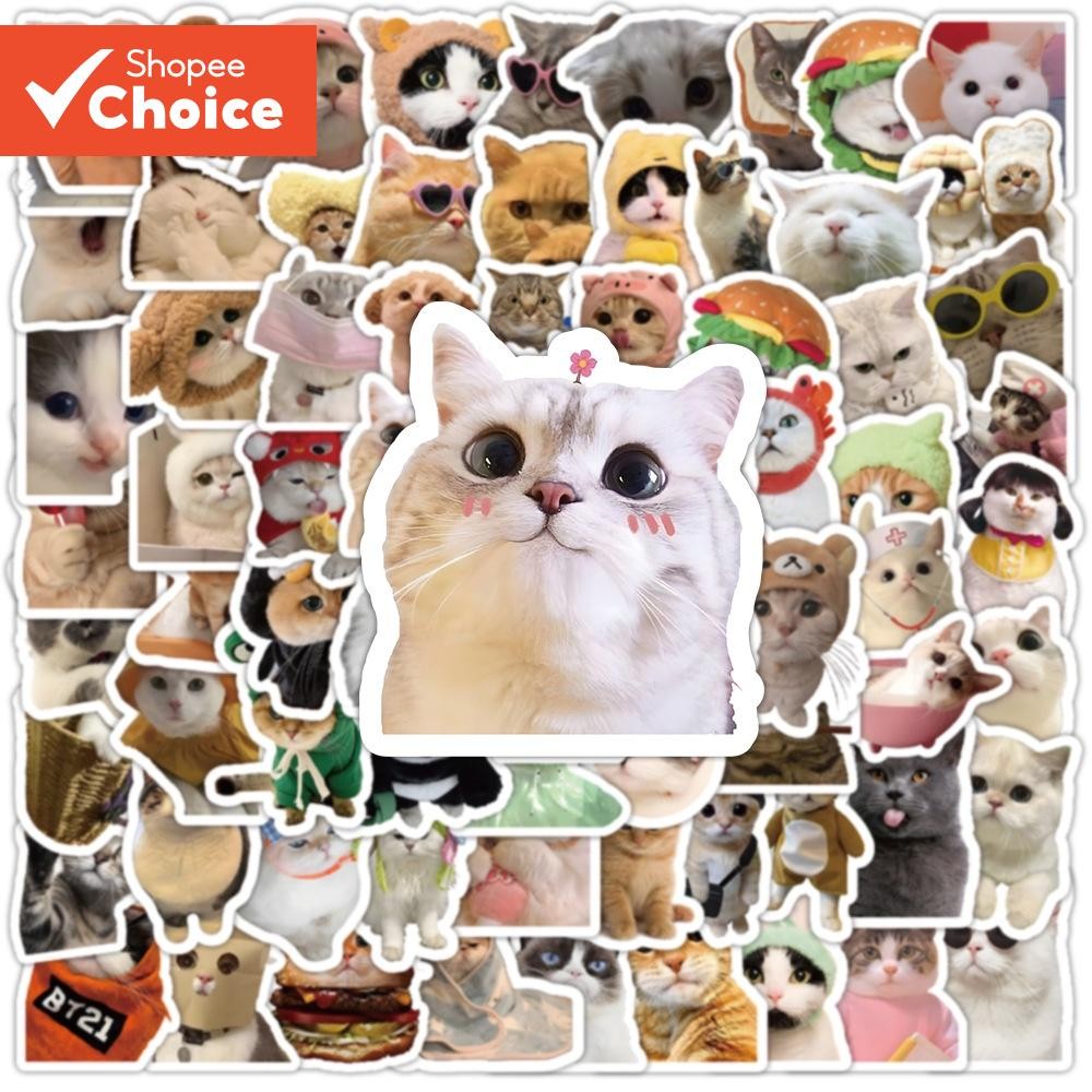 สติ๊กเกอร์แมวกันน้ํา 100 ชิ้นสําหรับแก้วน้ํา, แล็ปท็อป, โทรศัพท์ – Funny Cat Memes สําหรับเด็ก, วัยรุ่นและเด็กหญิง