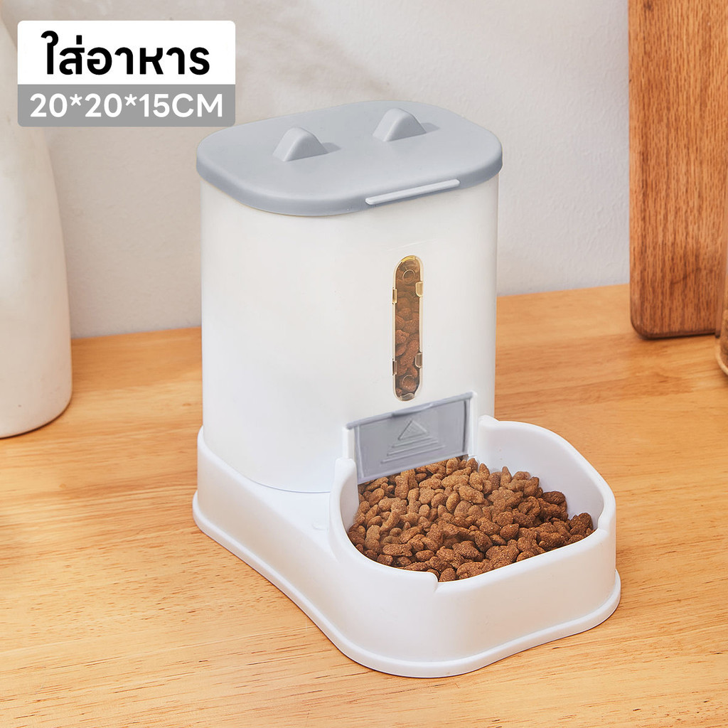 รูปภาพ 6