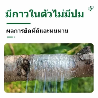 3cmx200m เทปพันกิ่งไม้ อุปกรณ์ทำสวน เทปพันตอนกิ่ง อุปกรณ์การเกษตร เทปพันกิ่งทาบ พลาสติกทาบกิ่ง เทปติดตาต้นไม้ฟิล์มยืด