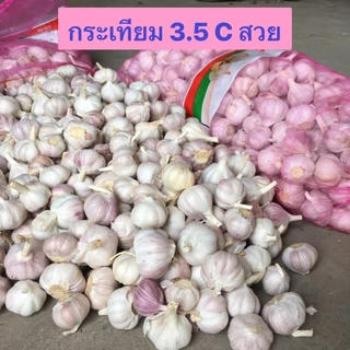 K35 กระเทียมปองหัว 3.5เซน น้ำหนัก9-10 กิโล ยกกระสอบ