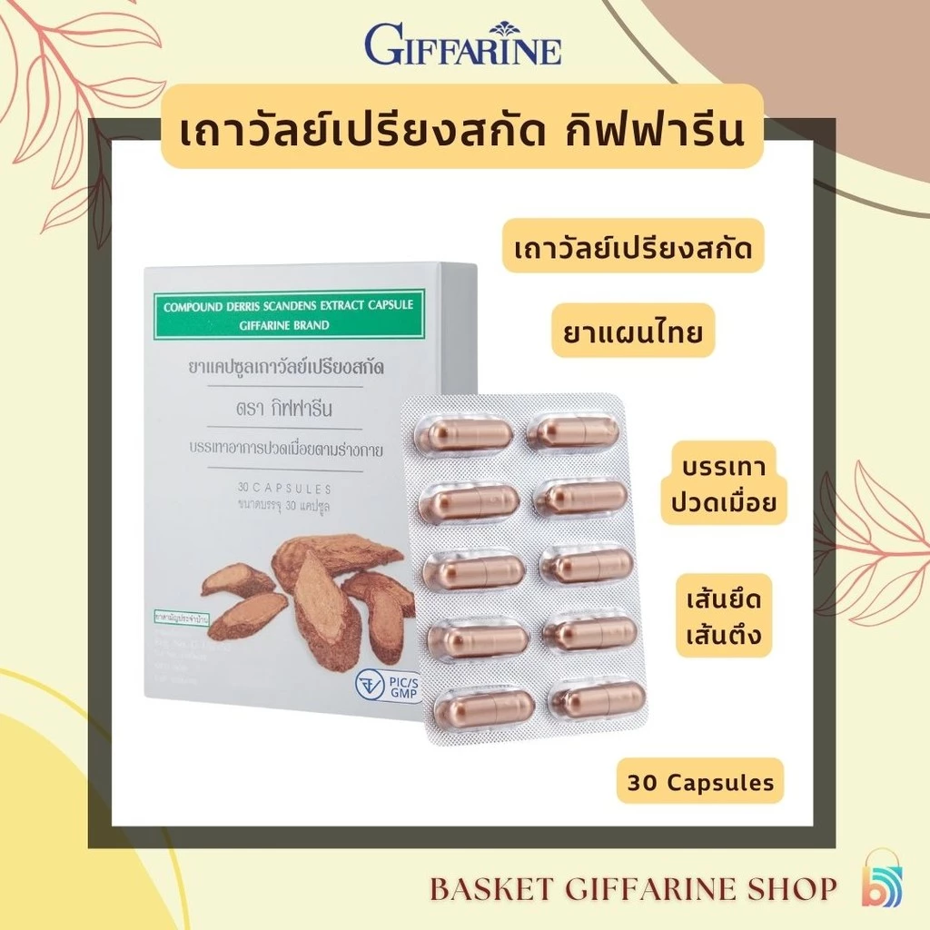 เถาวัลย์เปรียงสกัด กิฟฟารีน ยาแคปซูลเถาวัลย์เปรียงสกัด ยาแผนไทย