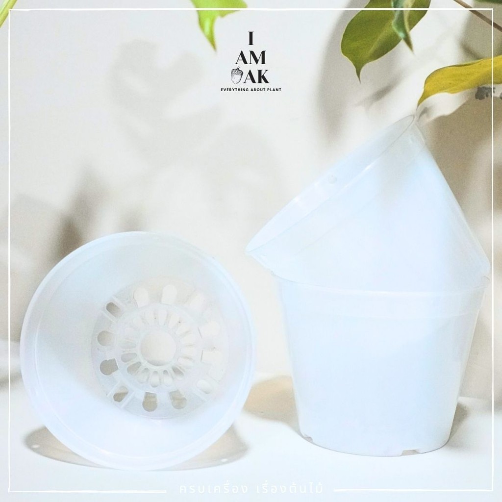 มุมมอง 3