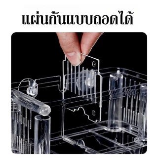 ตู้แยกปลาคลอดลูก กล่องแยกสำหรับถังปลา แยกได้ 2 ช่อง มี 2ขนาด และแยกปลาที่กำลังป่วย สีใส