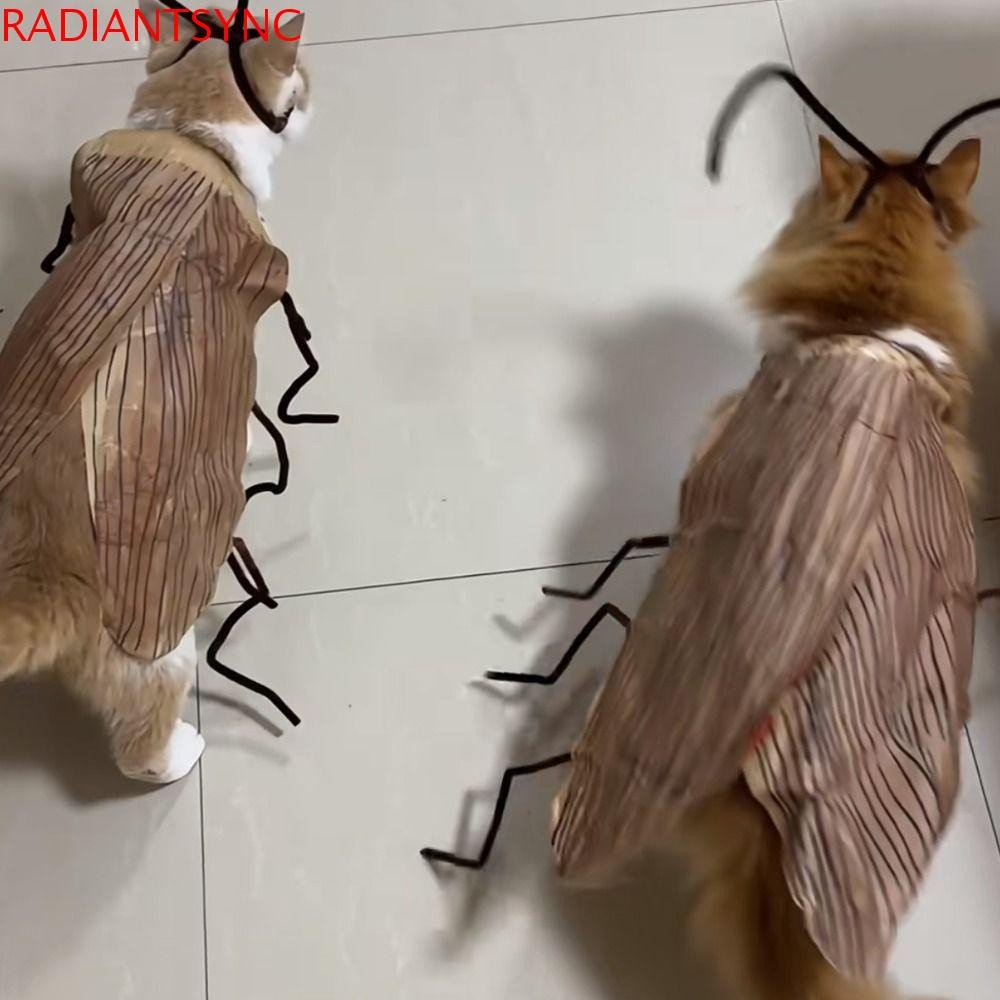 RADIANTSYNC แมวคอสเพลย์ชุดแมลงสาบ,สร้างสรรค์น่ารักเสื้อผ้าสัตว์เลี้ยงชุดวัสดุ,คอสเพลย์ Prop การ์ตูนตลกยังไม่เสร็จแมว Transformation เครื่องแต่งกายสัตว์เลี้ยงแต่งตัว
