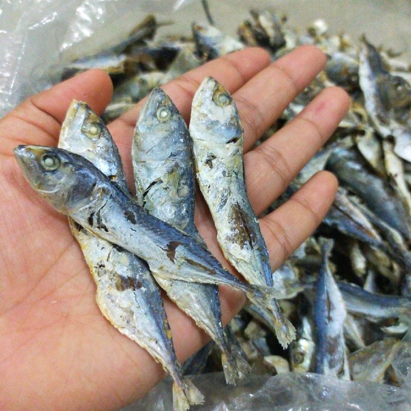 p ปลาทูแห้งขนาดกลาง 1กิโลกรัม110บาท