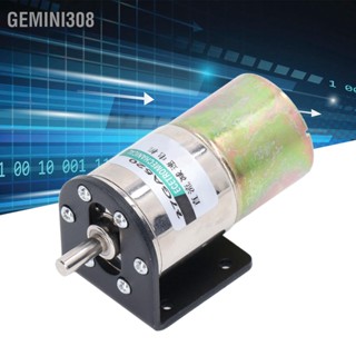  Gemini308 มอเตอร์แปรงถ่านขนาดเล็กพร้อมตัวยึด ล็อคอัตโนมัติ ขนาดเล็ก ควบคุมได้ ความเร็วต่ำ มอเตอร์ลดเกียร์ความเร็วต่ำ