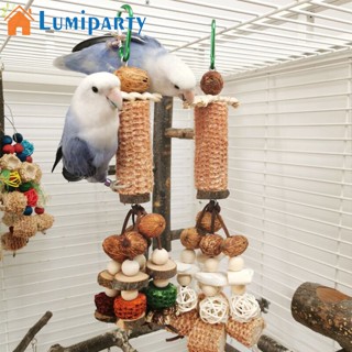 Lumiparty ของเล่นลูกบอลหวาย สําหรับนกแก้ว