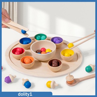 [Dolity1] ของเล่นมอนเตสซอรี่ ชามไม้ จับคู่สี และนับเลข เพื่อการศึกษา สําหรับเด็ก 1 ปีขึ้นไป