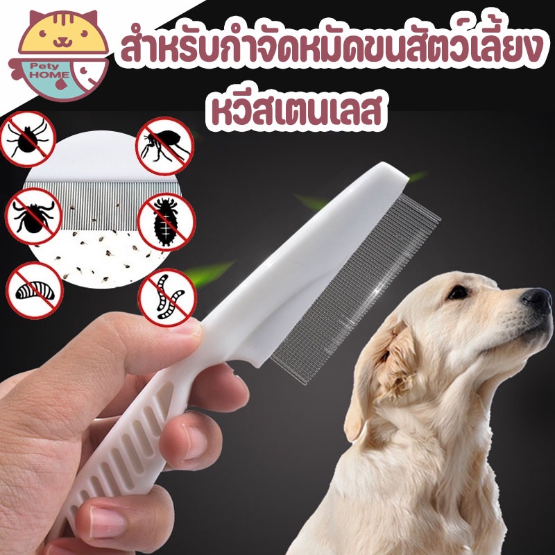 พร้อมส่ง หวีสเตนเลส หวีสางเห็บหมัด สําหรับกําจัดหมัดขนสัตว์เลี้ยง หวีสัตว์เลี้ยง สุนัข แมว