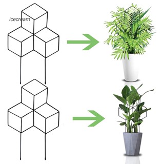 Icecream12.mx โครงไม้เลื้อยโลหะ ติดตั้งง่าย กันสนิม สําหรับปลูกต้นไม้ในร่ม เอเชียตะวันออกเฉียงใต้