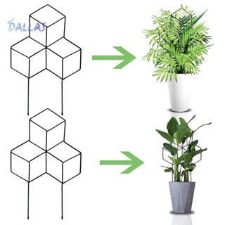 Dl* โครงไม้เลื้อย โลหะ ติดตั้งง่าย กันสนิม สําหรับปลูกต้นไม้ในร่ม และเอเชียตะวันออกเฉียงใต้