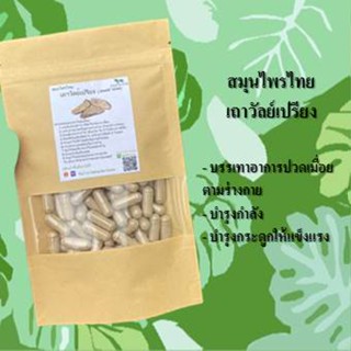 เถาวัลย์เปรียง (Jewel Vine) ขนาด 50 / 100 แคป ( 500 มก.) สมุนไพรแท้ 100% ไม่ผสม ออร์แกนิค คุณภาพดี คุ้มค่า ปลอดสาร ส่งไว