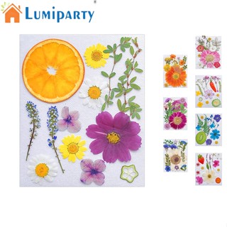 Lumiparty ชุดจี้เรซิ่น รูปดอกไม้แห้ง สําหรับทําเคสโทรศัพท์มือถือ อีพ็อกซี่ DIY