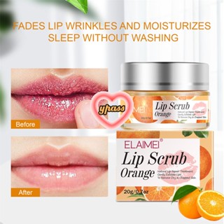 CYREAL Elaiemis New Natural Shea Butter Lip Care Scrub ช่วยให้หนังกำพร้านุ่มขึ้น ผลัดเซลล์ผิวและจางลง Lip Lines ลิปบาล์ม Oulesong Lip Oil พร้อมสารสกัดจากส้มและน้ำผึ้งให้ความชุ่มชื้นอย่างมีประสิทธิภาพ