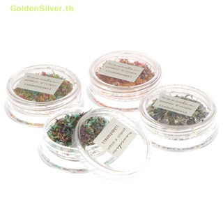 Goldensilver อุปกรณ์ตกแต่งเล็บ จี้ดอกไม้แห้ง 3D หลากสีสัน DIY TH