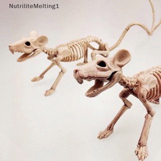 [NutriliteMelting1] กระดูกพลาสติก รูปโครงกระดูก น่าขนลุก สําหรับตกแต่งฮาโลวีน