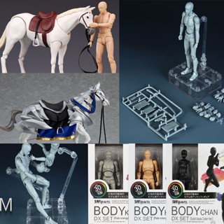 Sh โมเดลฟิกเกอร์ รูปม้า Figuarts Body Kun Chan DX Figma Horse ของเล่น ของสะสม ของสะสม สําหรับเด็ก