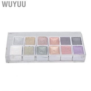 Wuyuu Nail Watercolor Paint Pearl Glitter Art Painting Pigment Supply New