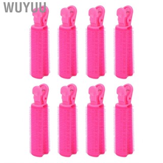 Wuyuu Volumizing Hair Root   Prevent Damage Hair Volume Roller  Sturdy ABS Clamp Firmly   for Home Use