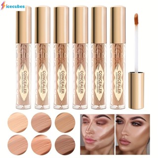 Ushas คอนซีลเลอร์ซ่อมสี 6 สี Lying Silkworm Pen Matte Concealer ICECUBES