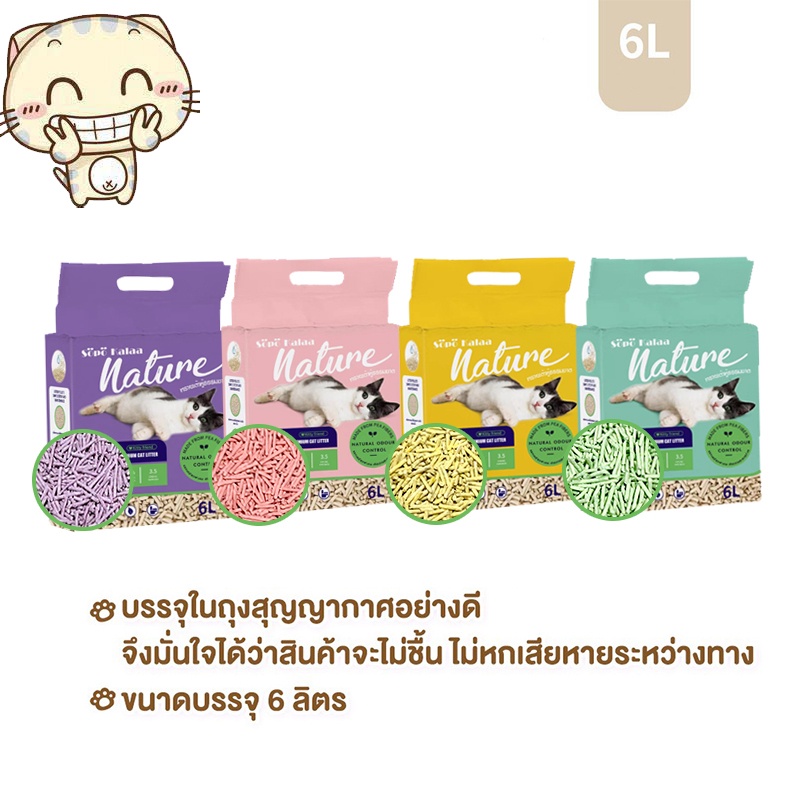 รูปภาพ 3